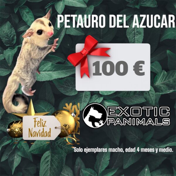 Petauro del Azucar Oferta Navidad