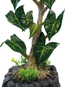 Fuente/Cascada Repto